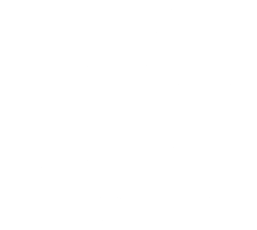 IMF Footer Logo